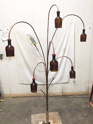BottleBush-00a