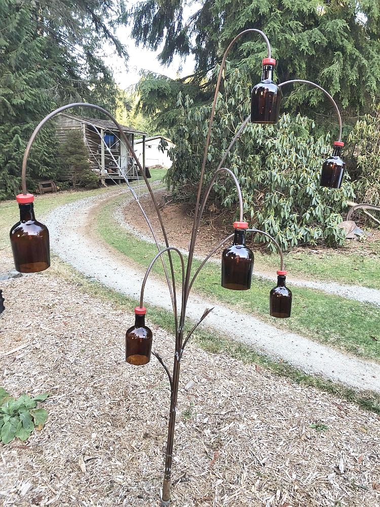 BottleBush-20